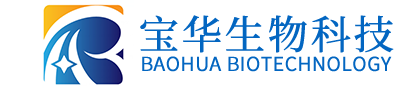 时博在线平台